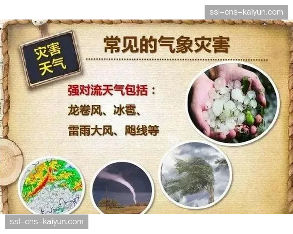 天气预警、地质监测等环境数据接入，完善应急预案触发条件